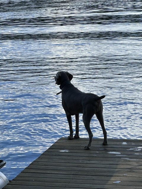 Walter standing on the dock looking across Katherine Lake