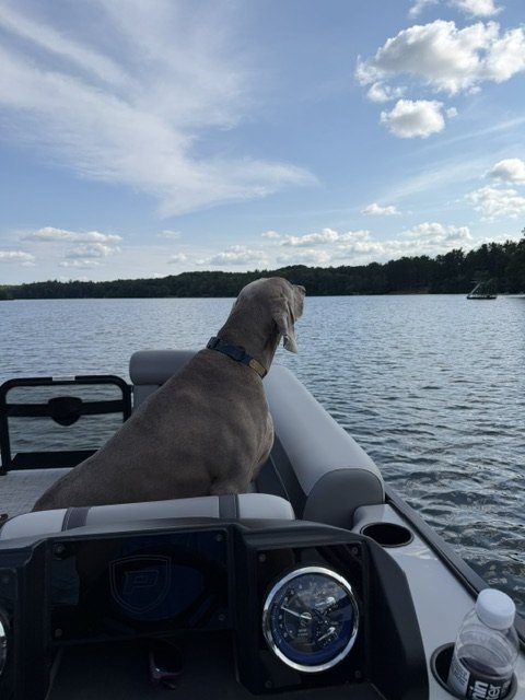 Walter looking out over Katherine Lake from the boat